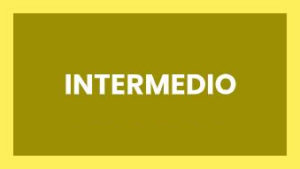 Intermedio - Salsa&Bachata